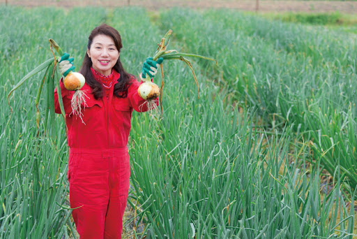 Đơn hàng trồng hành tây tại Hyogo lấy độ tuổi cao, lương 34 triệu/tháng